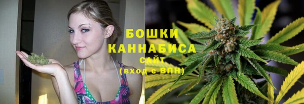 индика Нязепетровск