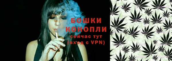 индика Нязепетровск