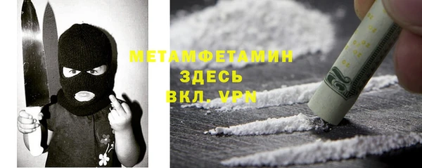 индика Нязепетровск