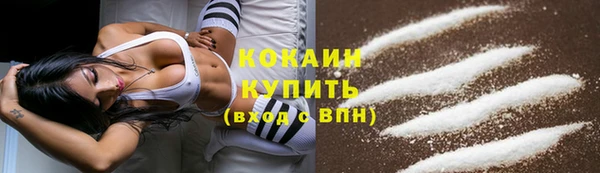индика Нязепетровск