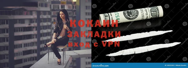 дживик Няндома
