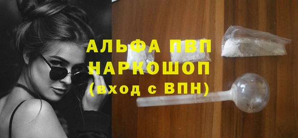 дживик Няндома