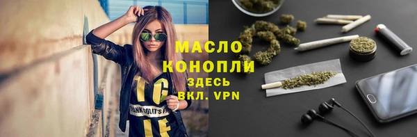 дживик Няндома