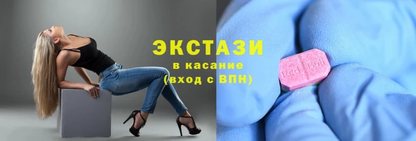 дживик Няндома