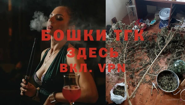 дживик Няндома