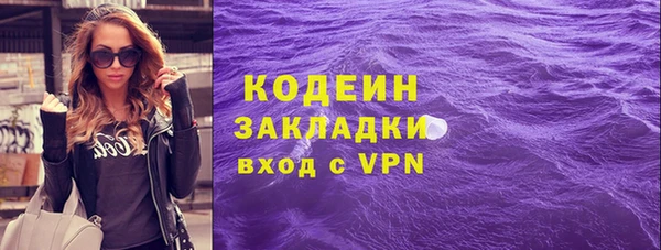 дживик Няндома