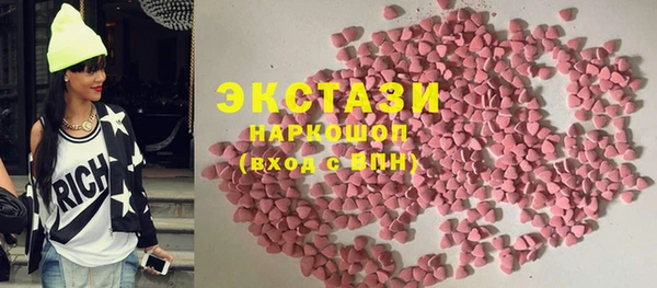 дживик Няндома