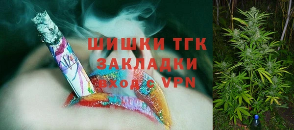 индика Нязепетровск