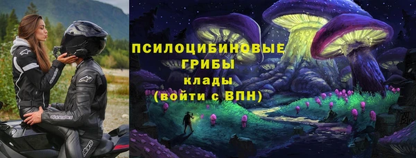 индика Нязепетровск