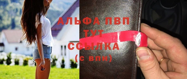 дживик Няндома
