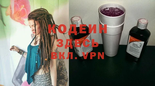 дживик Няндома