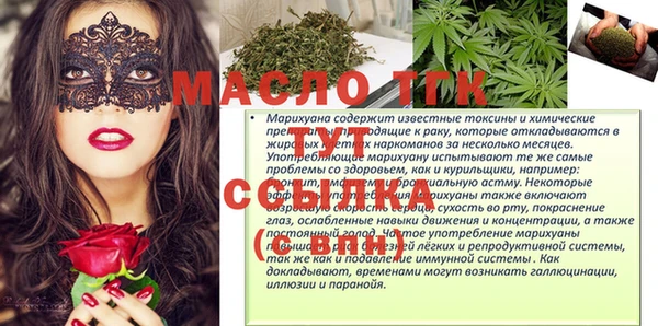 индика Нязепетровск