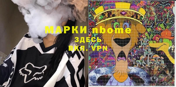 дживик Няндома