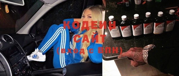 дживик Няндома