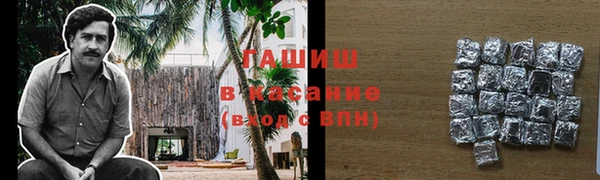 дживик Няндома
